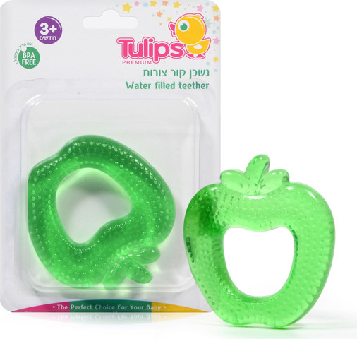 נשכן קור צורות - ירוק