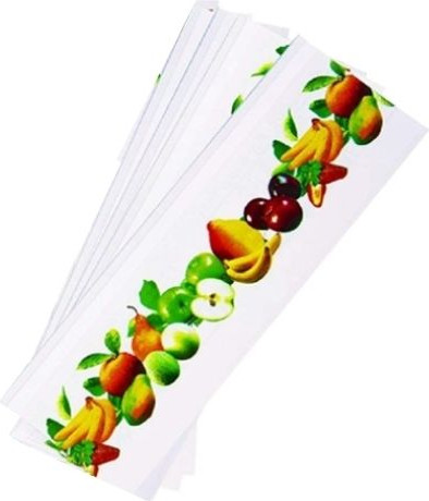 מארז 4 יחידות - מלכודת זבובים שקופה לחלונות וויטרינות