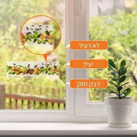 מארז 4 יחידות - מלכודת זבובים שקופה לחלונות וויטרינות