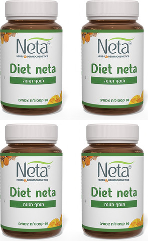 חבילת תהליך 90 יום - רביעיית Diet Neta