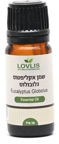 שמן אתרי אקליפטוס גלובולוס  Eucalyptus Globolus
