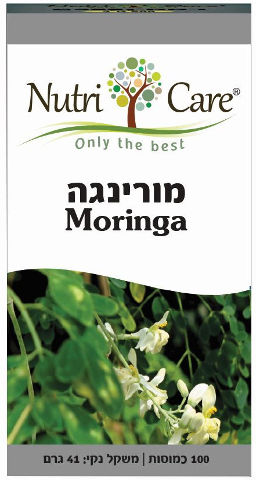 מורינגה