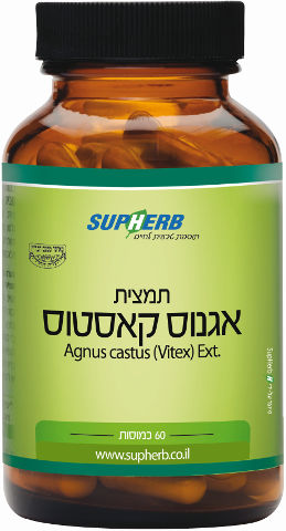 אגנוס קאסטוס
