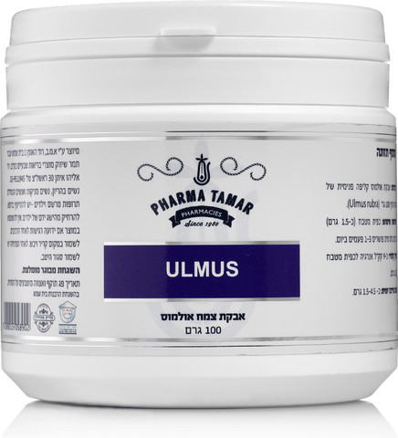 אולמוס Ulmus