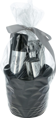 אלין סט דלי מפנק 4 פריטים SILVER MAN