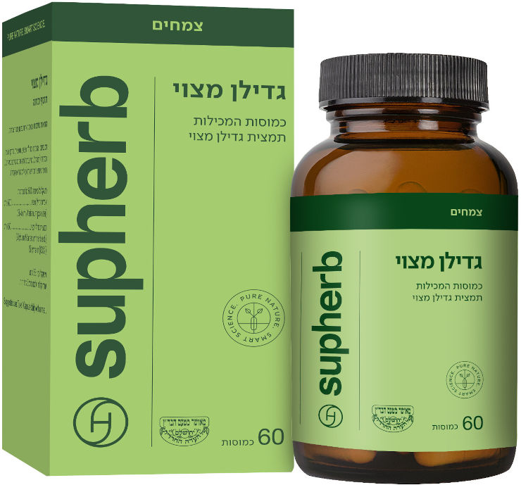 גדילן מצוי