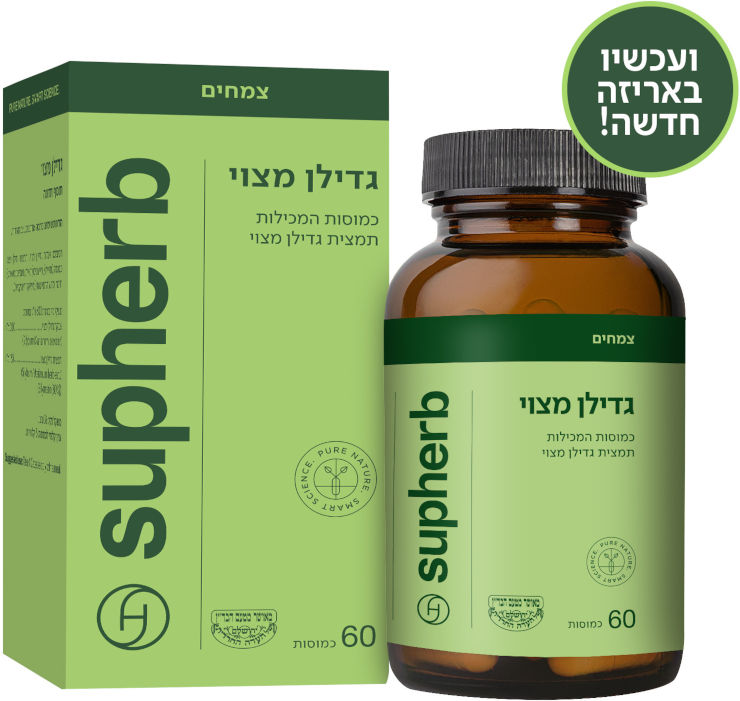 גדילן מצוי