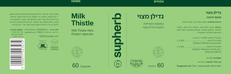 גדילן מצוי