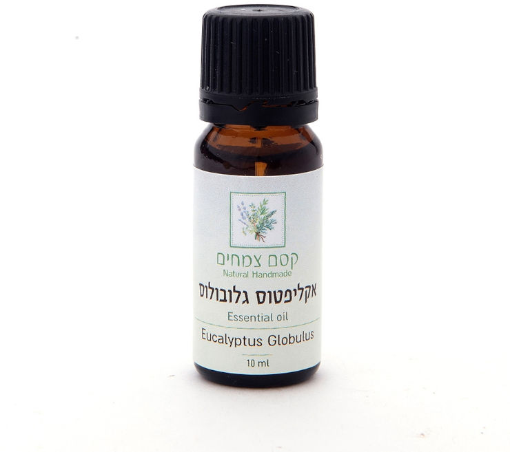 קסם צמחים  שמן אתרי אקליפטוס גלובולוס