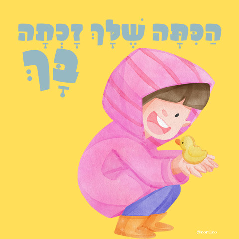כרטיסיות Boxil - סדרת הקסם שלי בנים