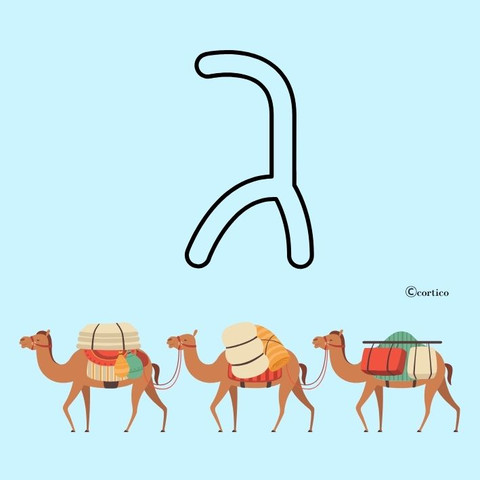 כרטיסיות Boxil - סדרת אותיות וספרות