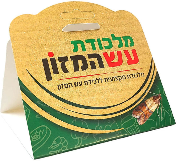 מלכודת עש המזון – מלכודת מקצועית ללכידת עש המזון - 6 יח במארז
