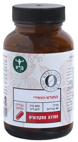 החודש העשירי