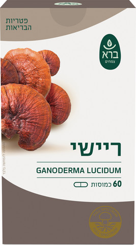 ריישי