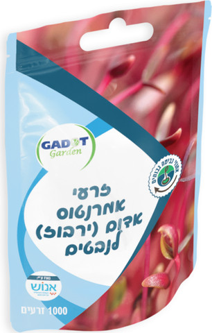 זרעים לשתילה זרעים לנבטים אמרנטוס אדום (ירבוז) 1000 זרעים