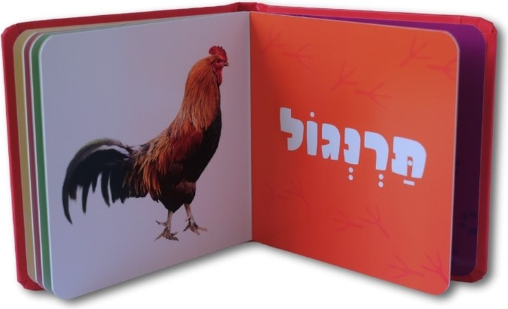 ספר החיות הראשון שלי