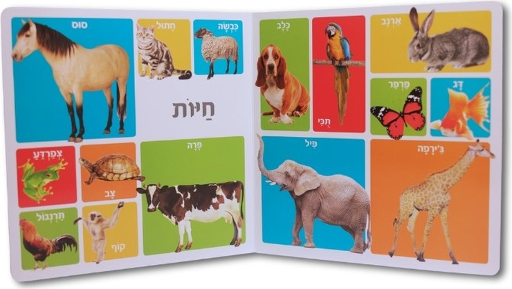 ספר מאה מילים ראשונות
