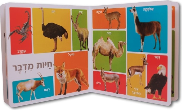 ספר מאה מילים ראשונות - חיות
