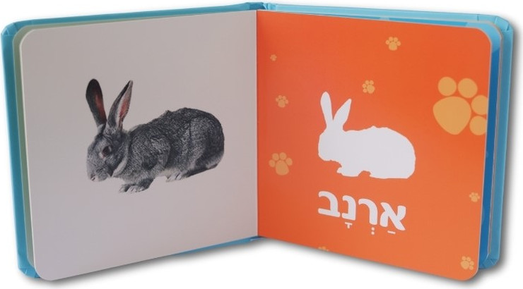 ספר חיות המחמד הראשון שלי
