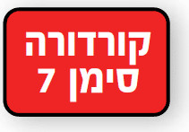 ארגונית כלים 12" / 16" עם תאים חיצוניים – תחתית קשיחה | B.Tech