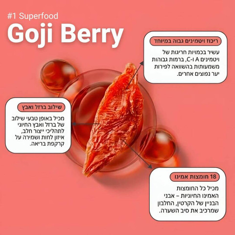 שמפו אנרג`ייזר ללא מלחים משקם לשיער PROBERRY פרוברי נגד שבירה 300 מ"ל