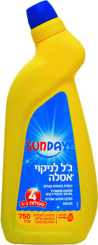 ג'ל לניקוי אסלה 4 פעולות ב-1 בניחוח אורנים