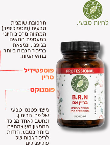 בריין אפ - לתמיכה בריכוז והזיכרון