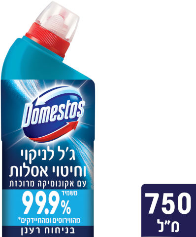 ג'ל לניקוי וחיטוי אסלות עם אקונומיקה מרוכזת בניחוח רענן