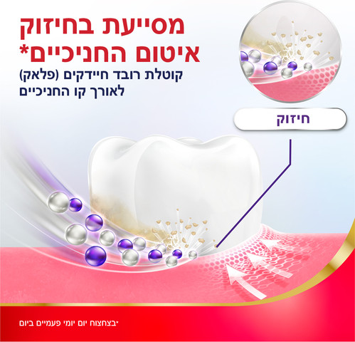 משחה לחיזוק והגנה לחניכיים מנטה מרענן