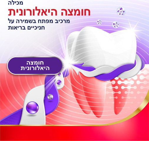 משחה לחיזוק והגנה לחניכיים מנטה מרענן