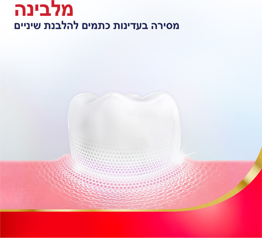 משחה לחיזוק והגנה לחניכיים מלבינה