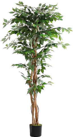 עץ מלאכותי פיקוס 1.80 מטר INDOOR