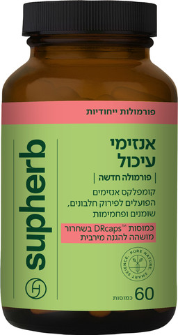 אנזימי עיכול