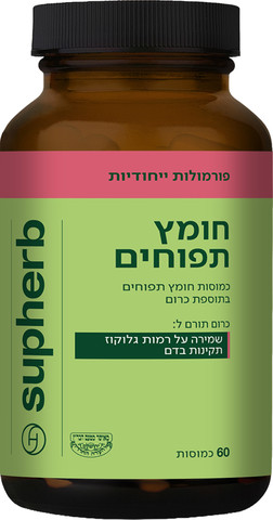 חומץ תפוחים