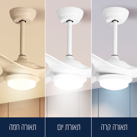 מאוורר תקרה דקורטיבי 52" כולל שלט ותאורת לד Arrow 40W ארו 600302-009 לבן