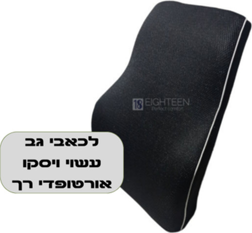 כרית אורטופדית לרכב