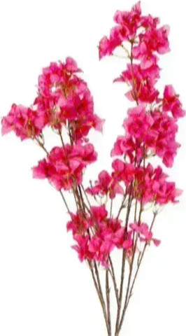 ענף פרחי בוגנוויליה מלאכותי פוקסיה 129 ס"מ