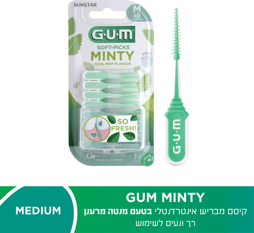 MINTY קיסם מבריש בטעם מנטה מרענן M