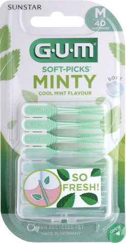 MINTY קיסם מבריש בטעם מנטה מרענן M