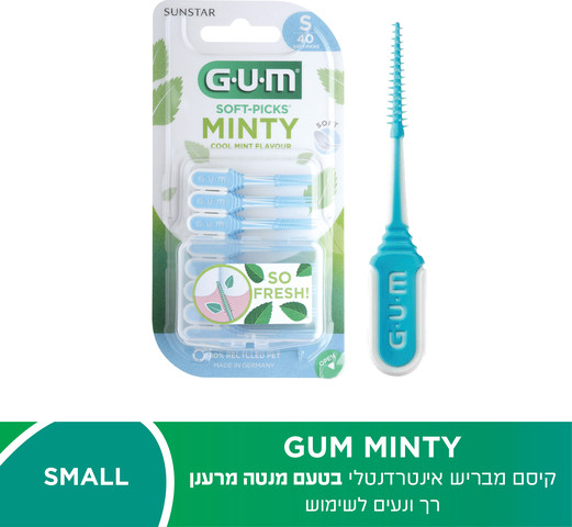 MINTY קיסם מבריש בטעם מנטה מרענן S