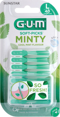 MINTY קיסם מבריש בטעם מנטה מרענן L