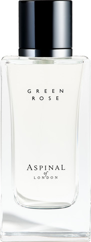 GREEN ROSE א.ד.פ יוניסקס