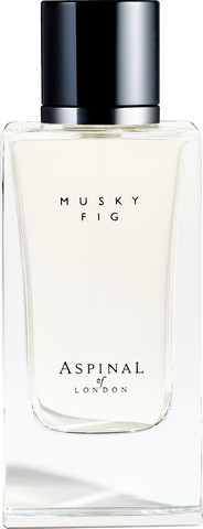 MUSKY FIG  א.ד.ט יוניסקס