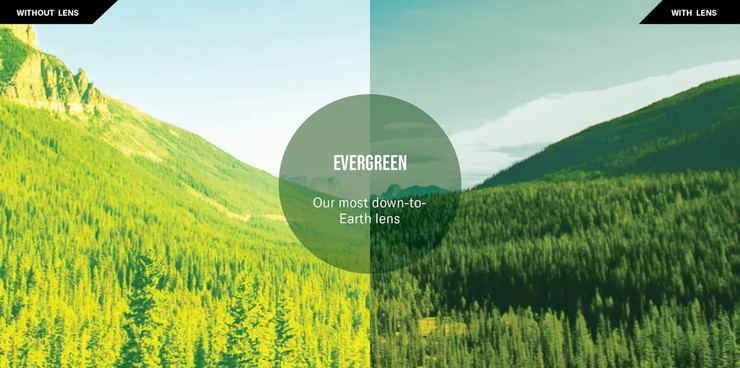 משקפי שמש פולרייזד ריבו דגם OMEGA EVERGREEN