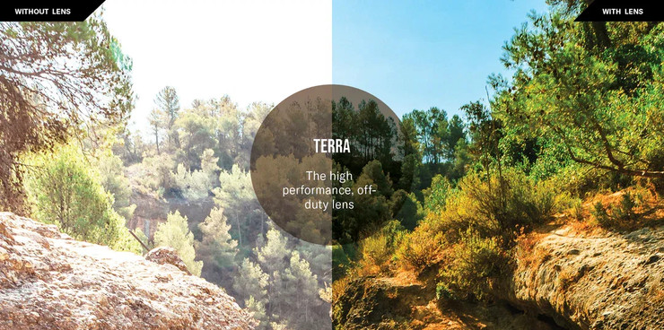 משקפי שמש פולרייזד ריבו דגם POINTE TERRA