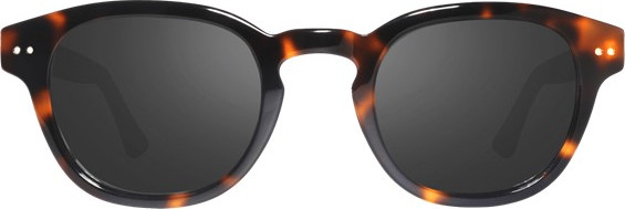 משקפי שמש פולרייזד ריבו דגם STERLING TORTOISE