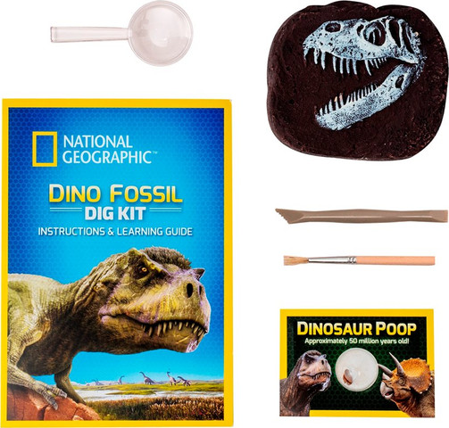ערכת חפירה וארכיאולוגיה שיני טי-רקס (T-Rex) - National Geographic