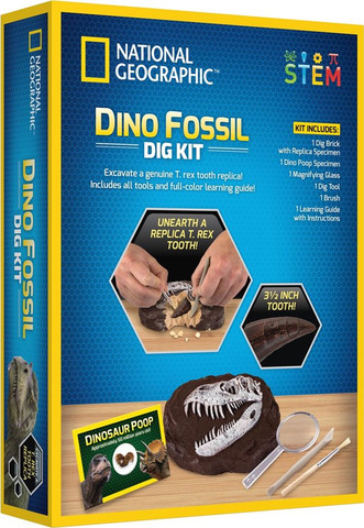 ערכת חפירה וארכיאולוגיה שיני טי-רקס (T-Rex) - National Geographic