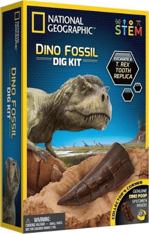 ערכת חפירה שיני National Geographic T REX