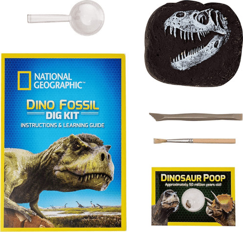ערכת חפירה שיני National Geographic T REX